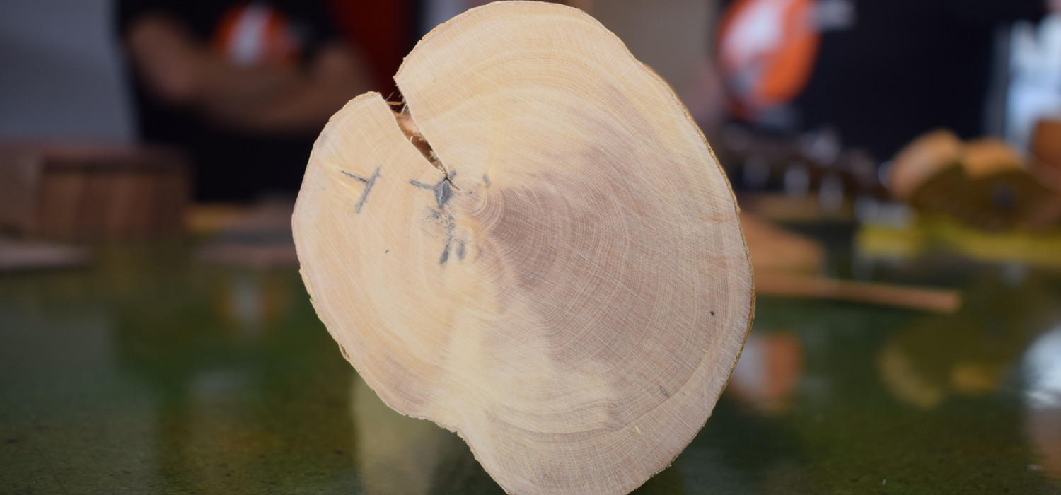 Curso de ajuste y mantenimiento de guitarras y bajos 6 de julio 2019